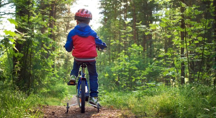 Things to Do in North Wales with Kids