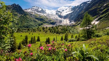 What to Do in the Grand Est Region of France