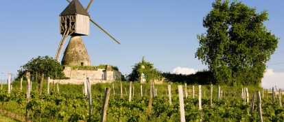 Mill in the countryside