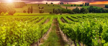 Best Campsites in France