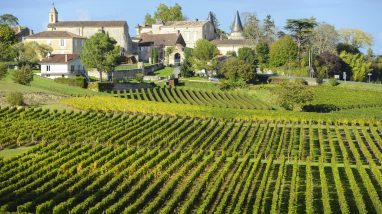 Vineyards and village in the Aquitaine
