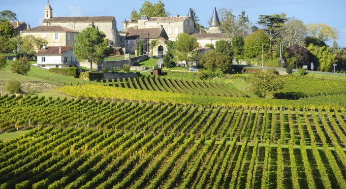 Vineyards and village in the Aquitaine