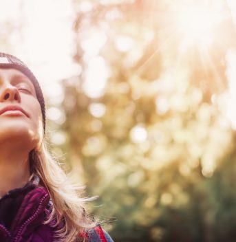 french forest campsites