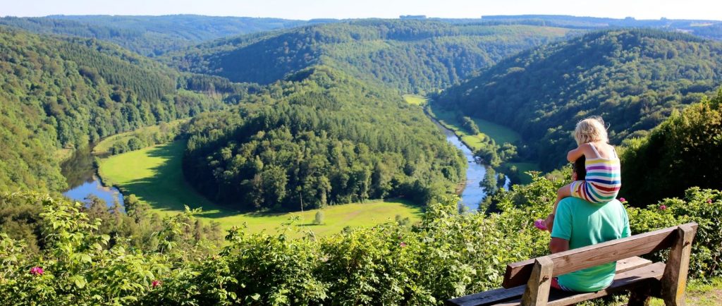 River and woodland in Wallonia, Ardennes, Belgium