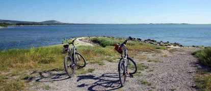 Vélos à étang de Vic-la Gardiole, Hérault, Occitanie
