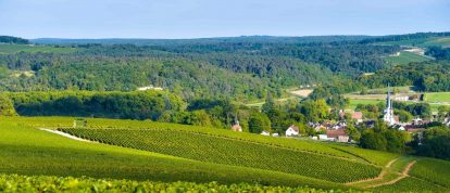 Champagne vineyards, Bar-sur-Aube, Aube