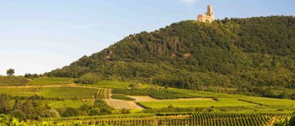 Château de l'Ortenbourg, Scherwiller, Bas-Rhin