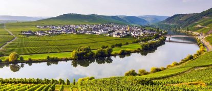 Vineyard and river in the Moselle