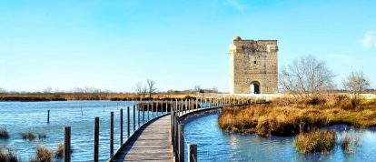 Carbonnière Tower, Petite Camargue, Lansargues, Hérault, Occitanie