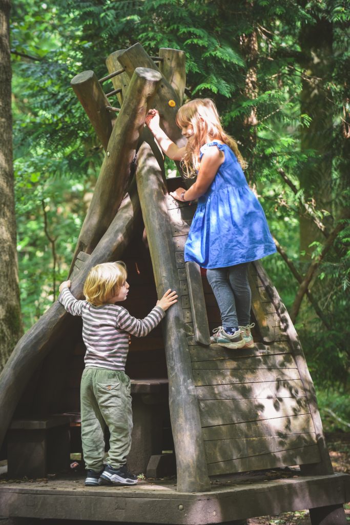 Des enfants apprennent à construire une cabane dans les bois