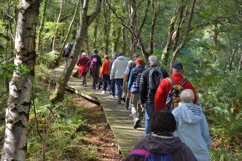 Group of senior hikers on a hiking trail in Brittany