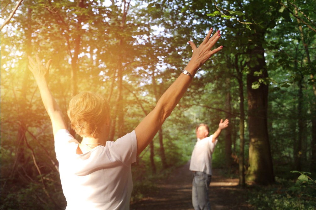 Immerse yourself in forest bathing