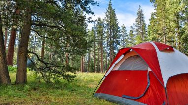 Camper dans la nature : pourquoi vaut-il mieux éviter ?