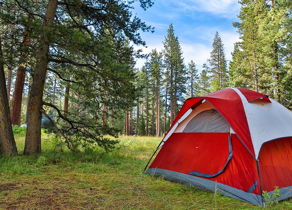 Can You Camp Anywhere In New Mexico at Gregory Alexander blog