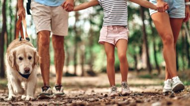 Une famille se promène avec un chien