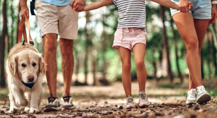 Une famille se promène avec un chien
