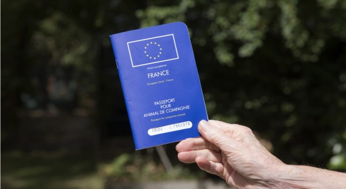 EU pet passport