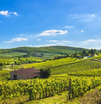 Radda, Chianti, Toscana, Italia - Campeggi in Toscana