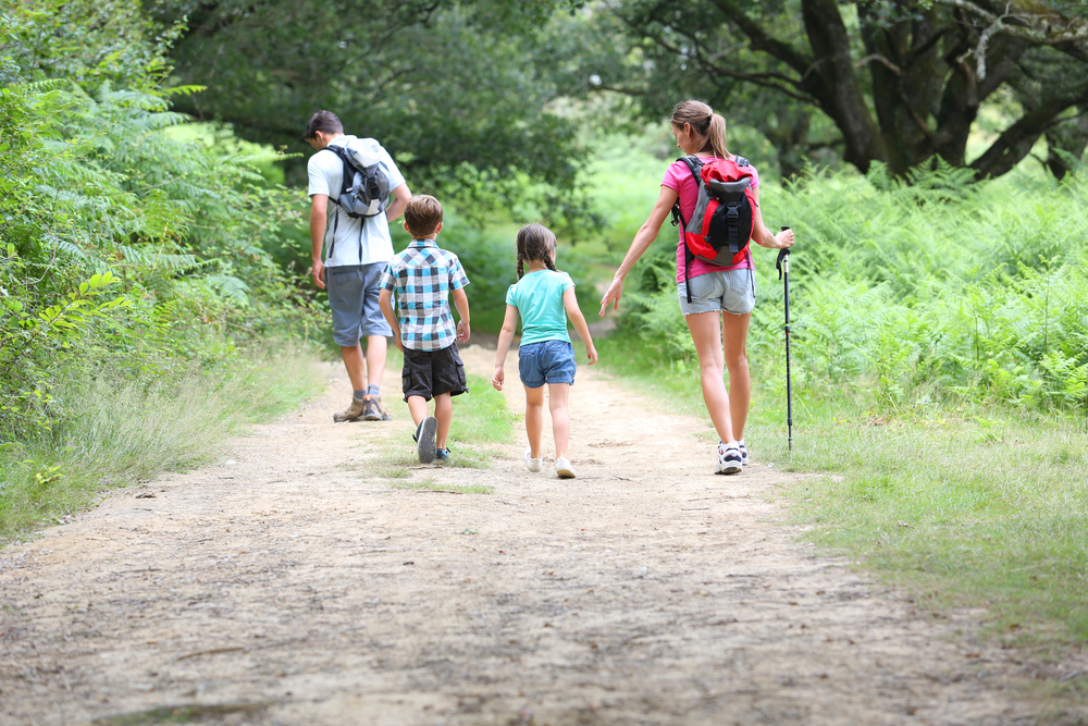 2 adults 2 children walking in forest -  2 enfants et 2 adultes marchant dans la forêt