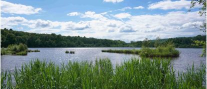 Malsaucy Lake, Belfort, Bourgogne-Franche-Comté, Frankreich