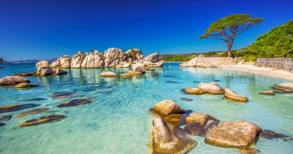 spiaggia palombaggia