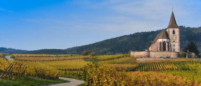 Vignoble de Hunawihr dans le département du Haut-Rhin, France. Campings dans le Haut-Rhin