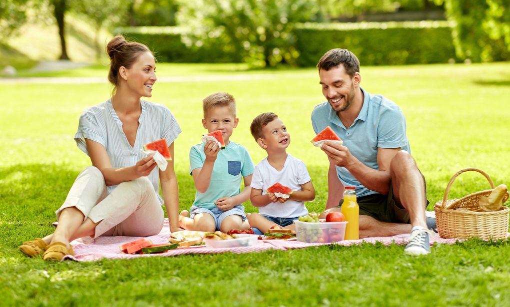 Family picnic | Pique-nique en famille 