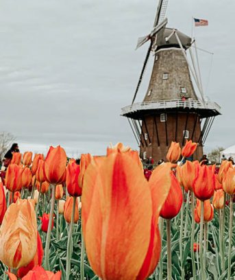 vacanze in olanda in campeggio