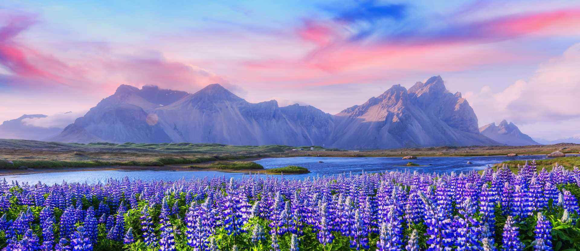 Vestrahorn, Stokksnes, Islanda - Campeggi in Islanda