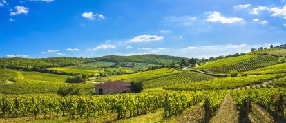 Radda, Chianti, Toscane, Italië - Campings in Toscane