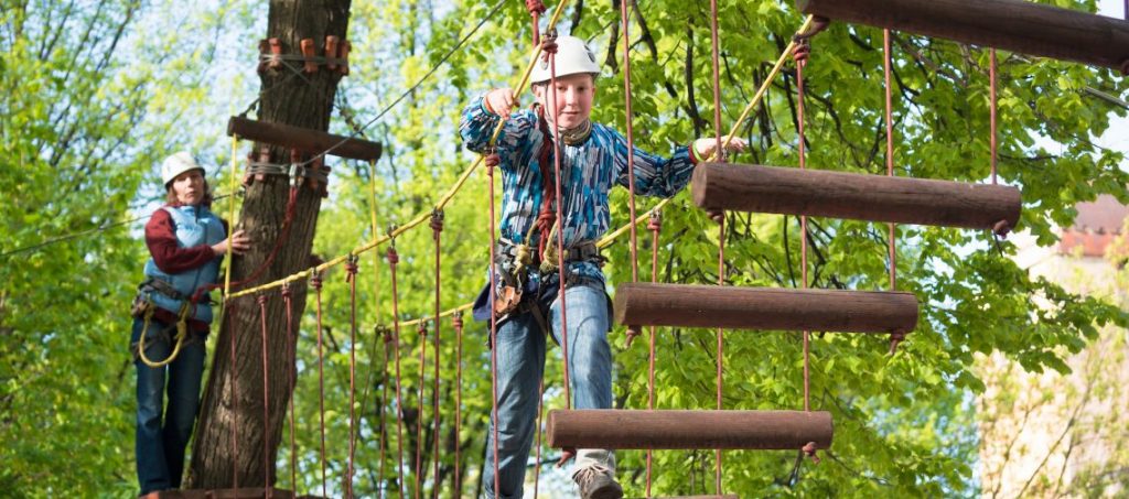 Kids in a forest adventure park