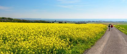 Wandelen in de velden, Audresselles, Pas-de-Calais, Frankrijk