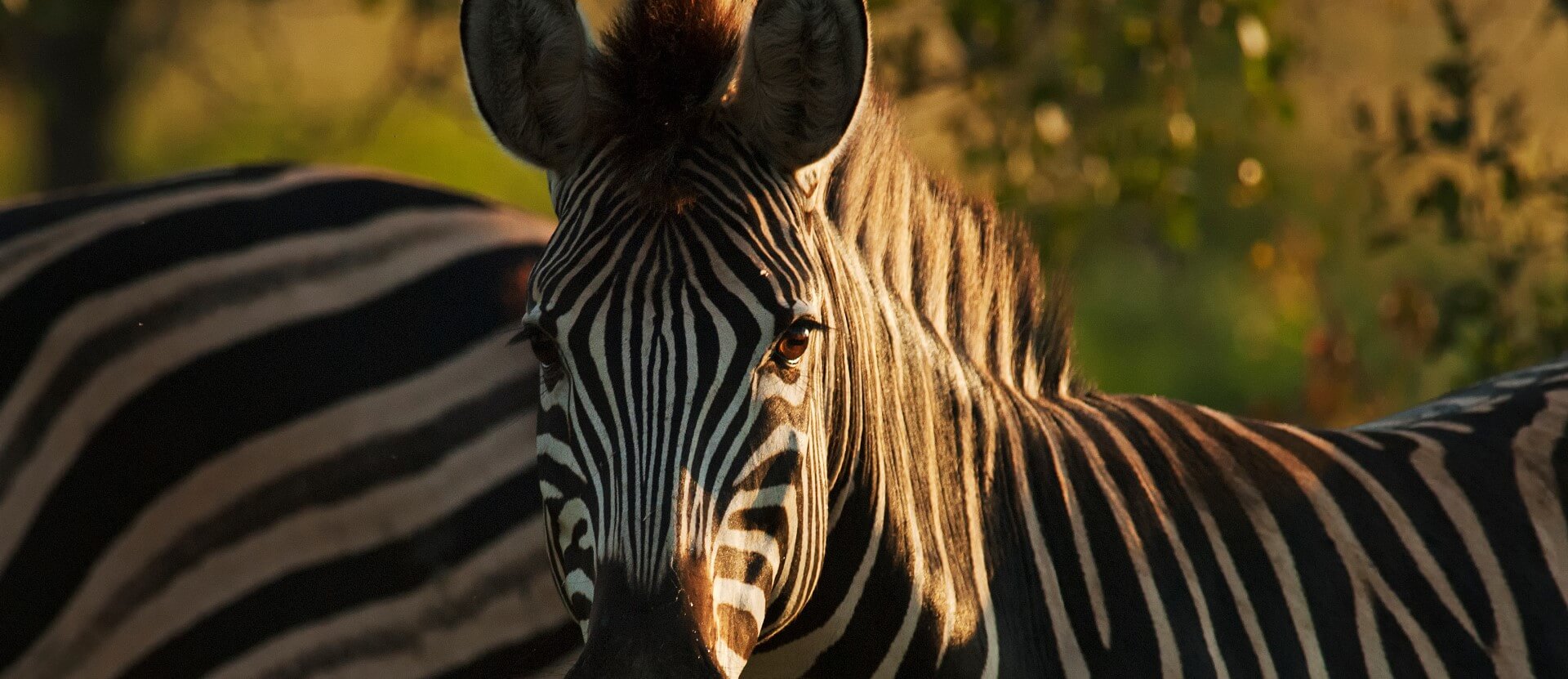 Camping sites in KZN, KwaZuluNatal & Durban