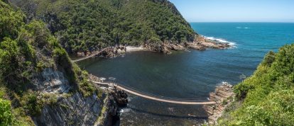 Pont suspendu de Storms River dans le Cap-Oriental