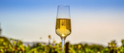 Dégustation de vin de pinotage en plein air dans le vignoble de Stellenbosch au Cap - Campings en Cape Winelands