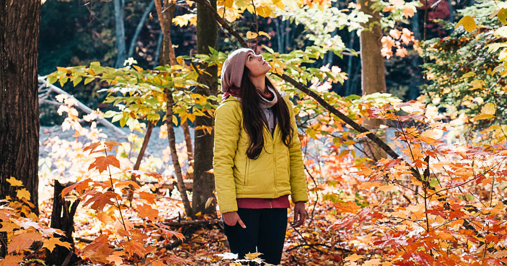 trekking in autunno foliage