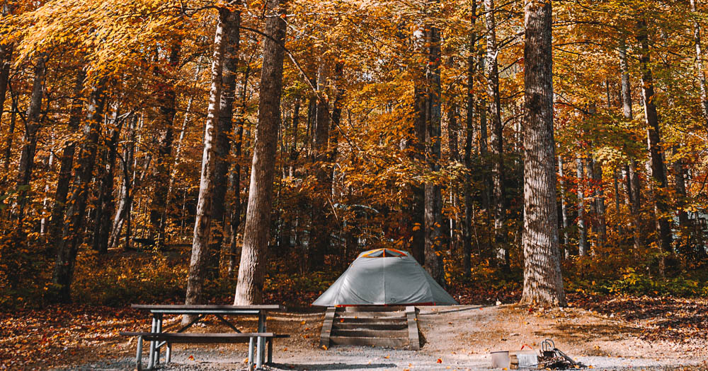 tenda grigia montata tra gli alberi con le foglie rosse autunnali