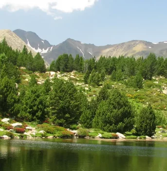 The Eyne valley, a beautiful valley renowned for its flora in the Pyrénées-Orientales, Occitanie - Campsites in the Pyrénées-Orientales