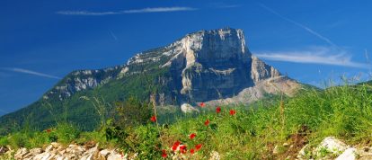 Weinberge in der Savoie - Campingplätze in Chambéry