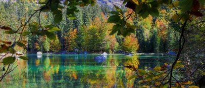 See und Wald in den französischen Alpen bei Digne - Campingplätze in Digne