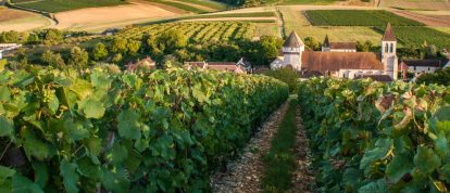 Versterkte kerk van Chitry omgeven door wijngaarden - Campings in Auxerre