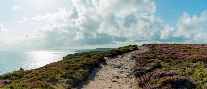 Kustwandelpad door seringen en paarse heidevelden - Campings in Saint-Brieuc