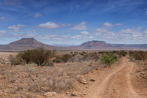 Eastern Cape - South African bushland by day