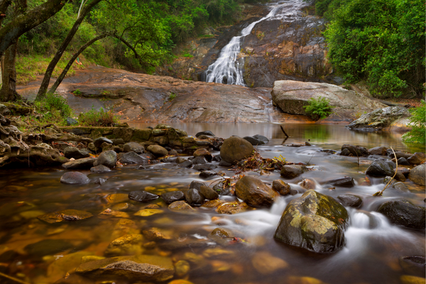 cascata che sfocia in un fiume tra pietre, foglie e un paesaggio verde