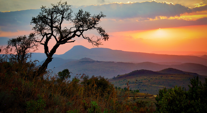 Sunset - South African Savannahs
