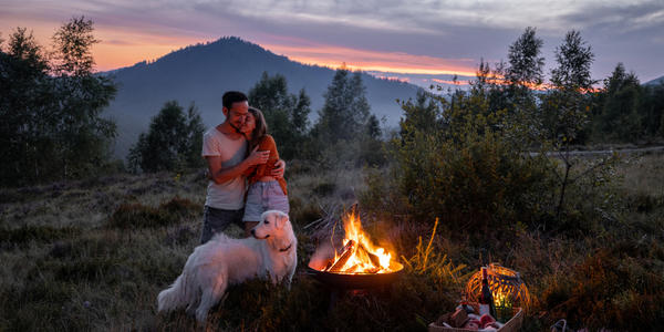 Benefits to camping with a dog.