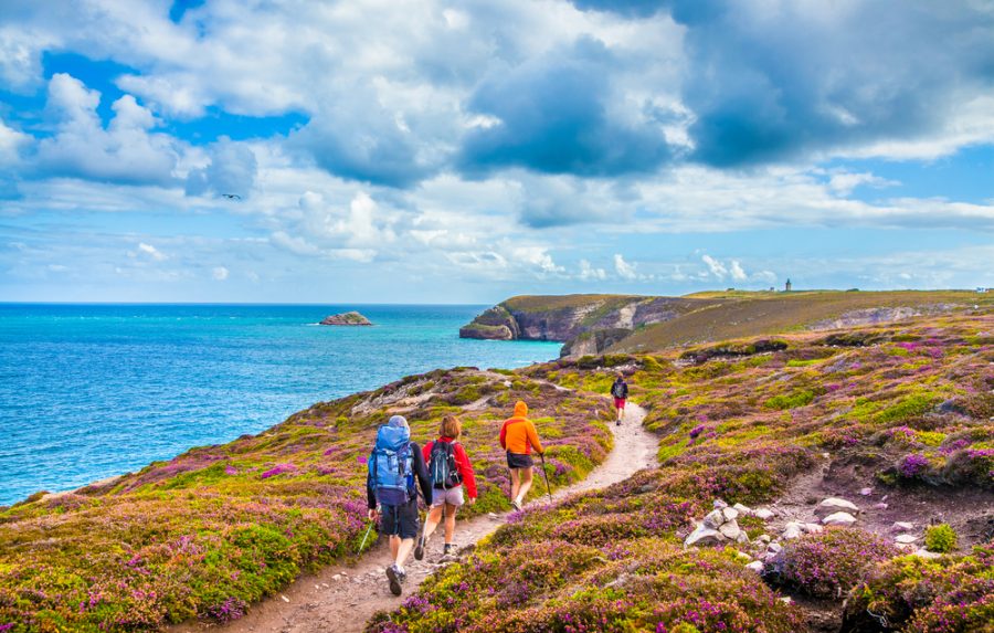 Vier Wanderer in der Bretagne auf einer Route mit Ausblick auf das Meer