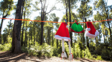 Weihnachtsmützen auf einer Wäscheleine, im Hintergrund eine Waldlichtung