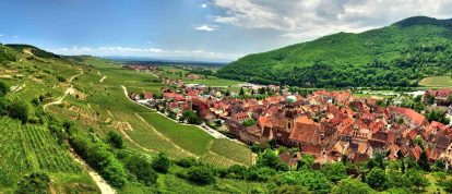 Vista de Kaysersberg, viñedos y montañas, Alsacia, Grand Est, Francia - Campings en Alsacia