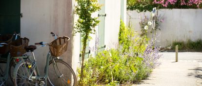Ruelles Ile de Ré, Poitou-Charentes - Campings en Poitou-Charentes
